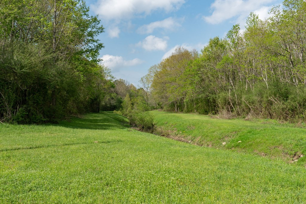 144 Don Curt Boulevard Property Photo 59