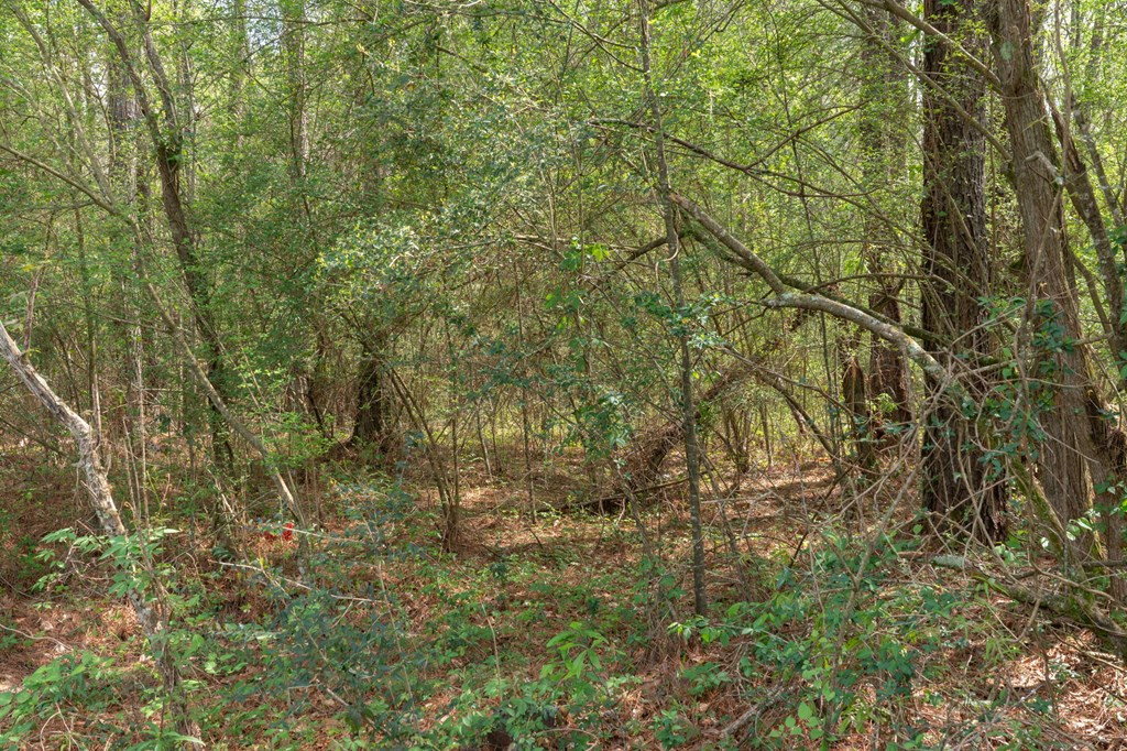 144 Don Curt Boulevard Property Photo 61