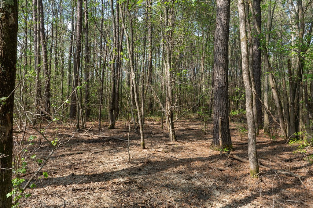 144 Don Curt Boulevard Property Photo 62