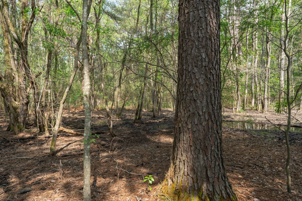 144 Don Curt Boulevard Property Photo 63