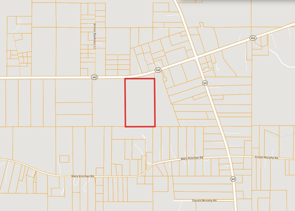 0 La Highway 442 Property Photo 2