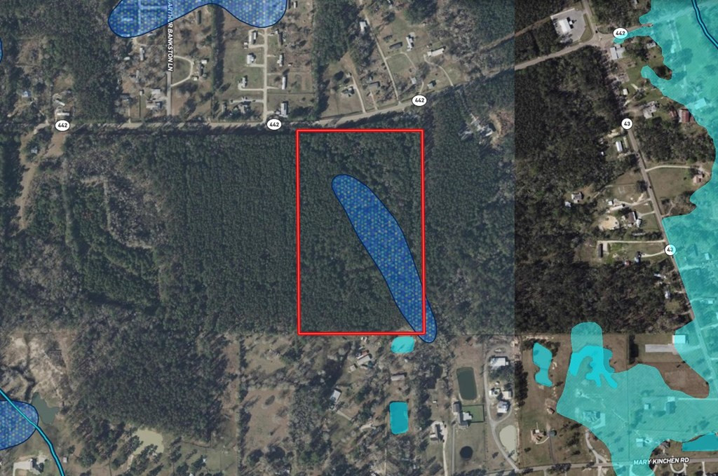 0 La Highway 442 Property Photo 3