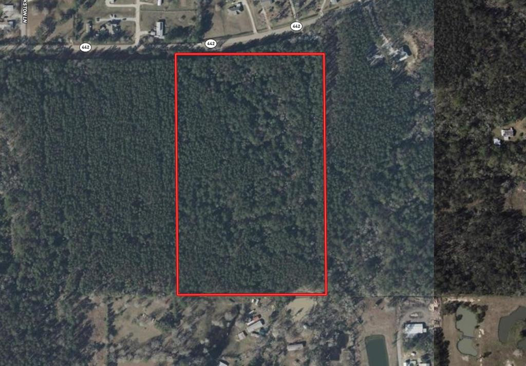 0 La Highway 442 Property Photo 4