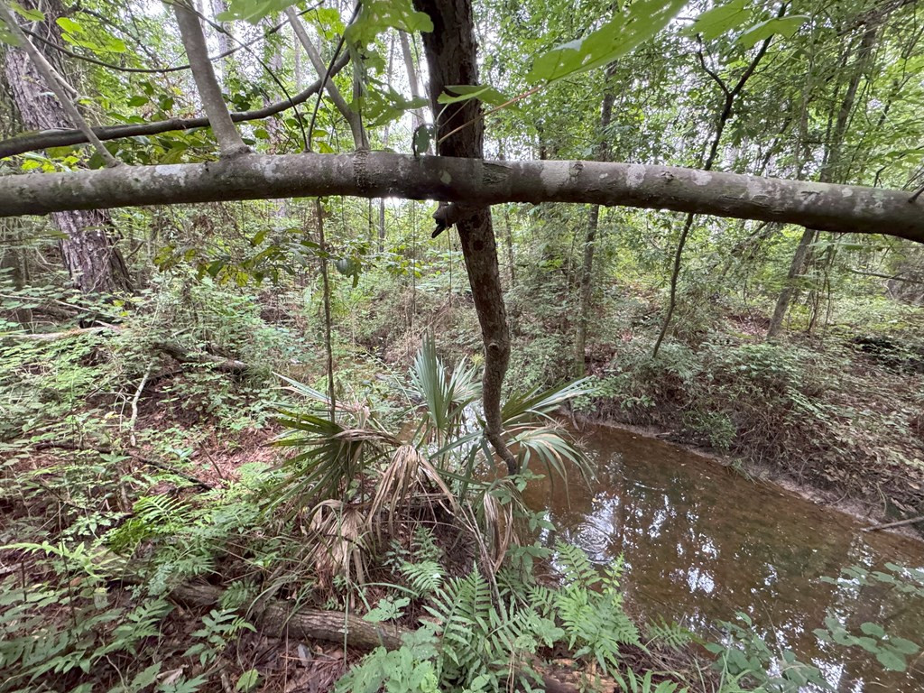 0 La Highway 442 Property Photo 14