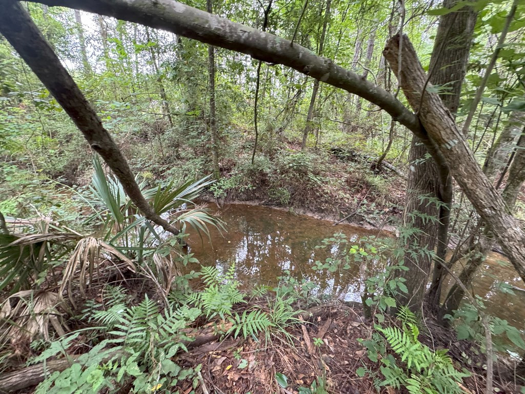 0 La Highway 442 Property Photo 15