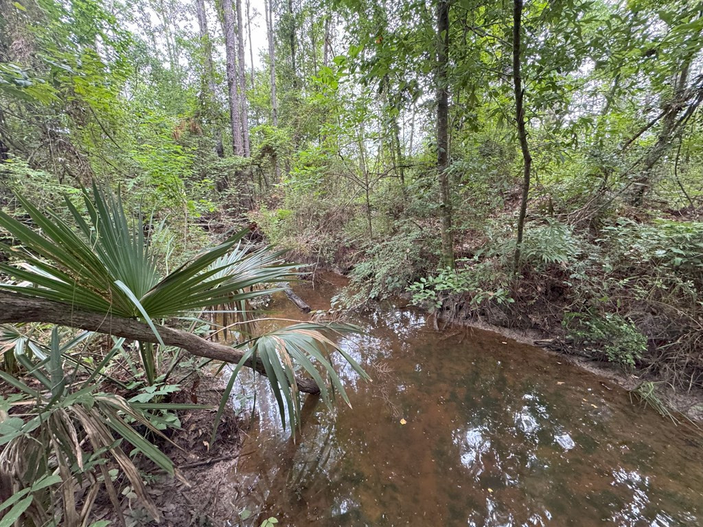 0 La Highway 442 Property Photo 16