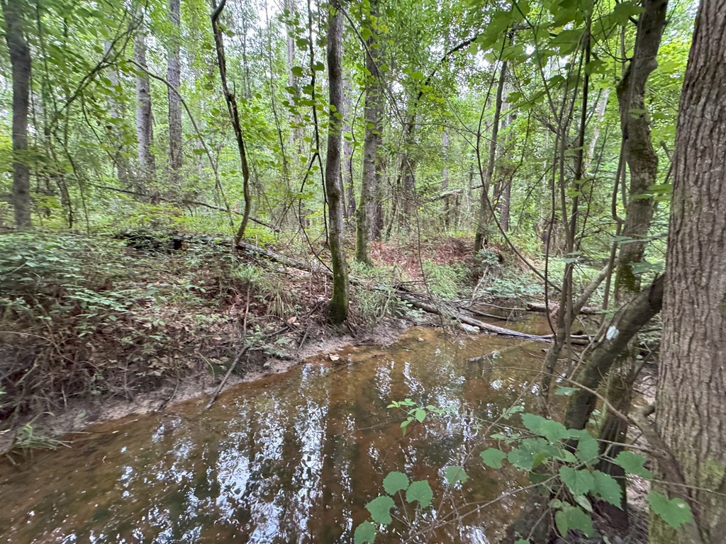 0 La Highway 442 Property Photo 17