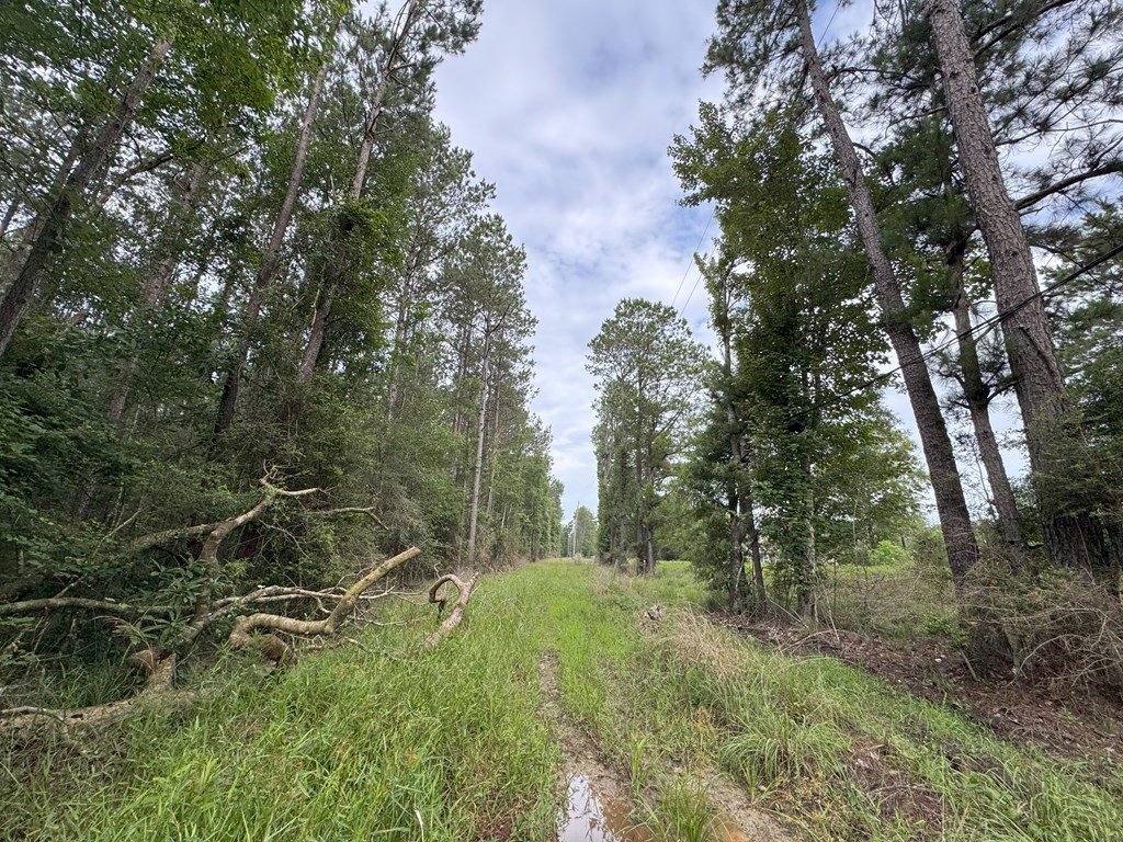 0 La Highway 442 Property Photo 21