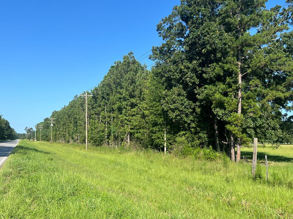 Xxx Highway 44 Property Photo 3