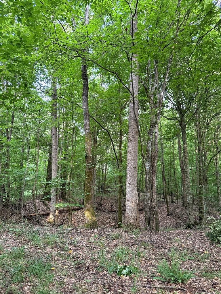 8145 Gordon Station Road Property Photo 1