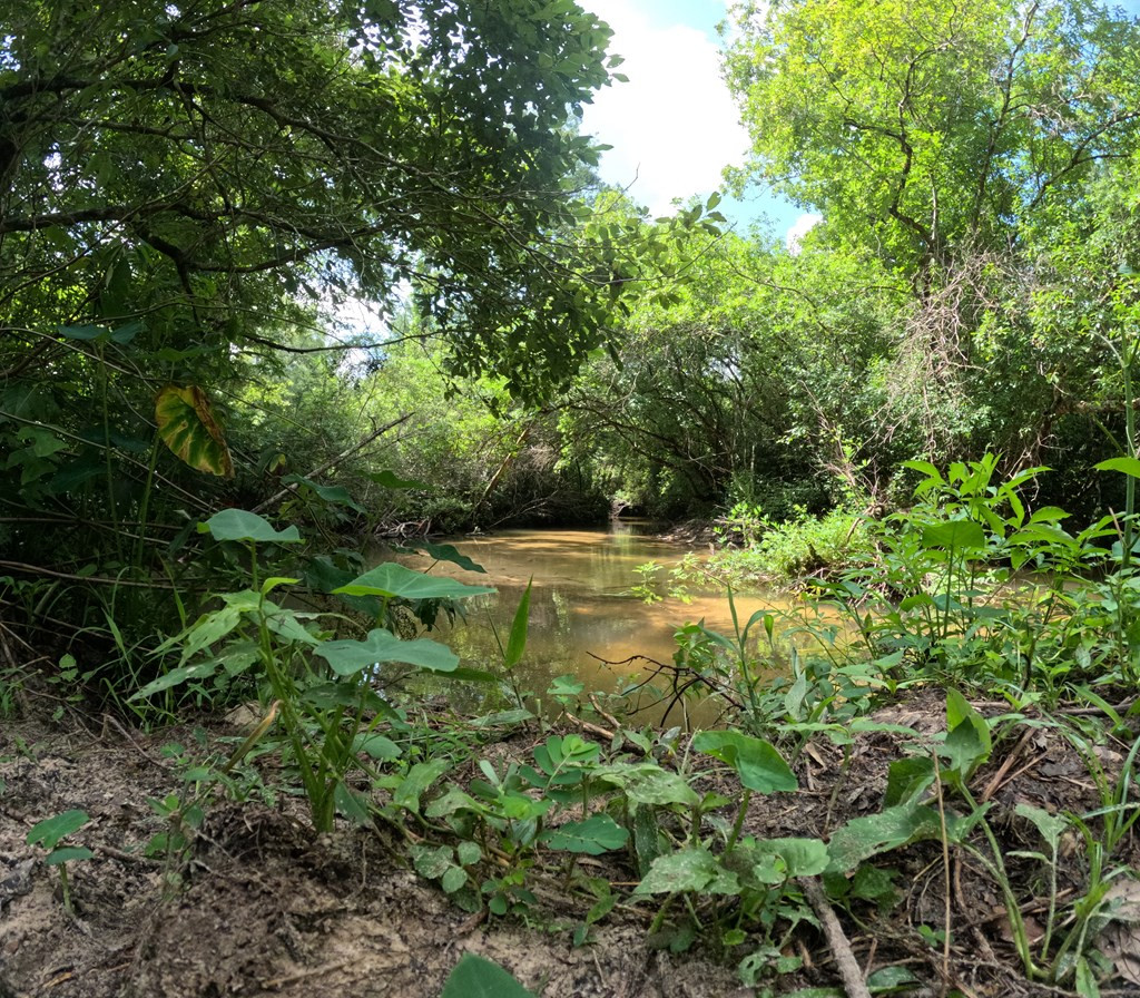 1608 Highway 586 Property Photo 18