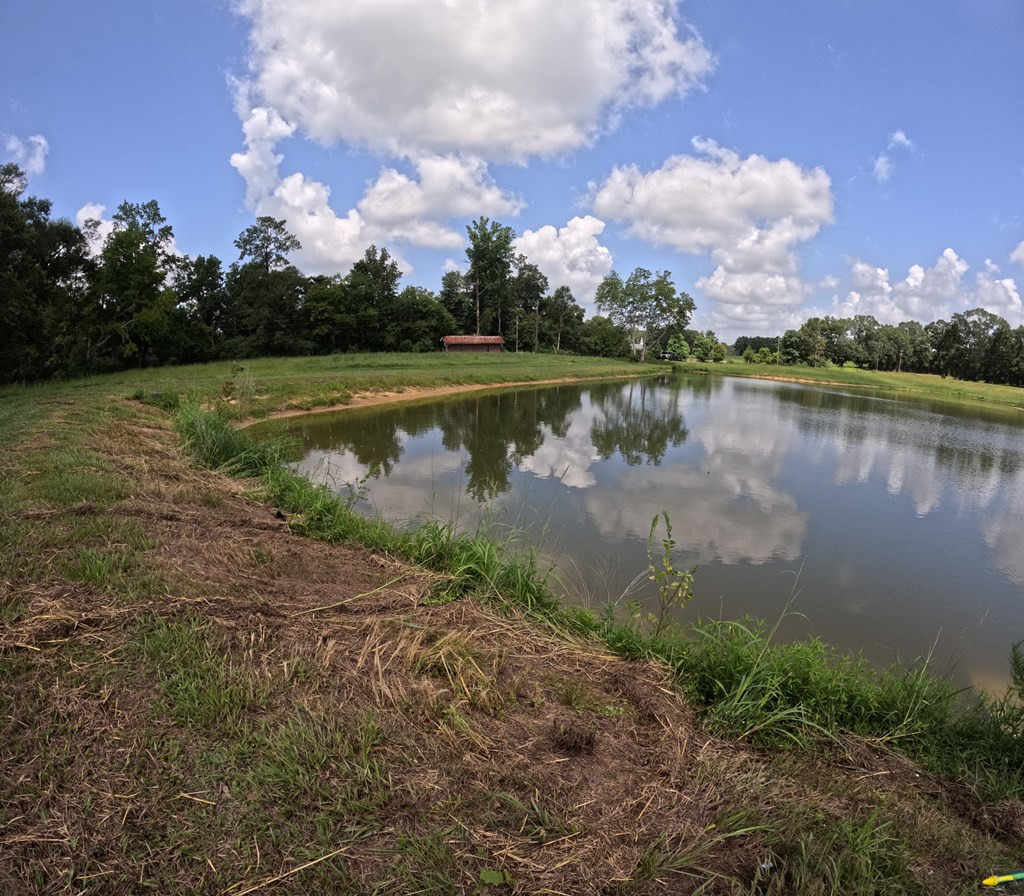 1608 Highway 586 Property Photo 25