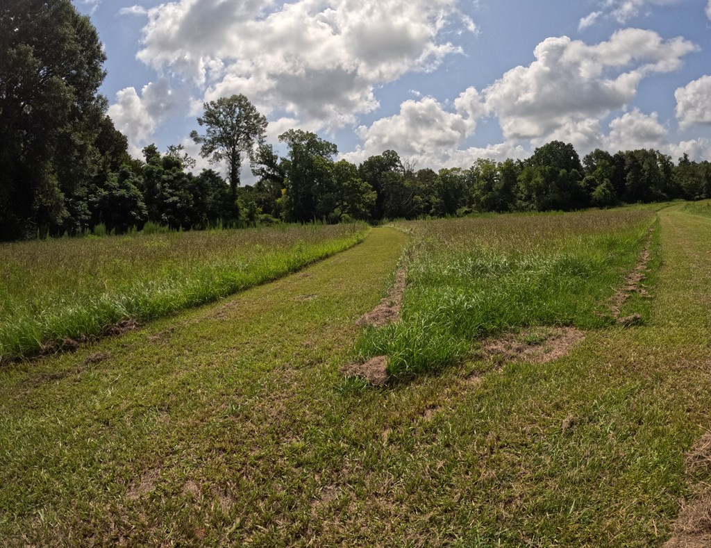1608 Highway 586 Property Photo 27