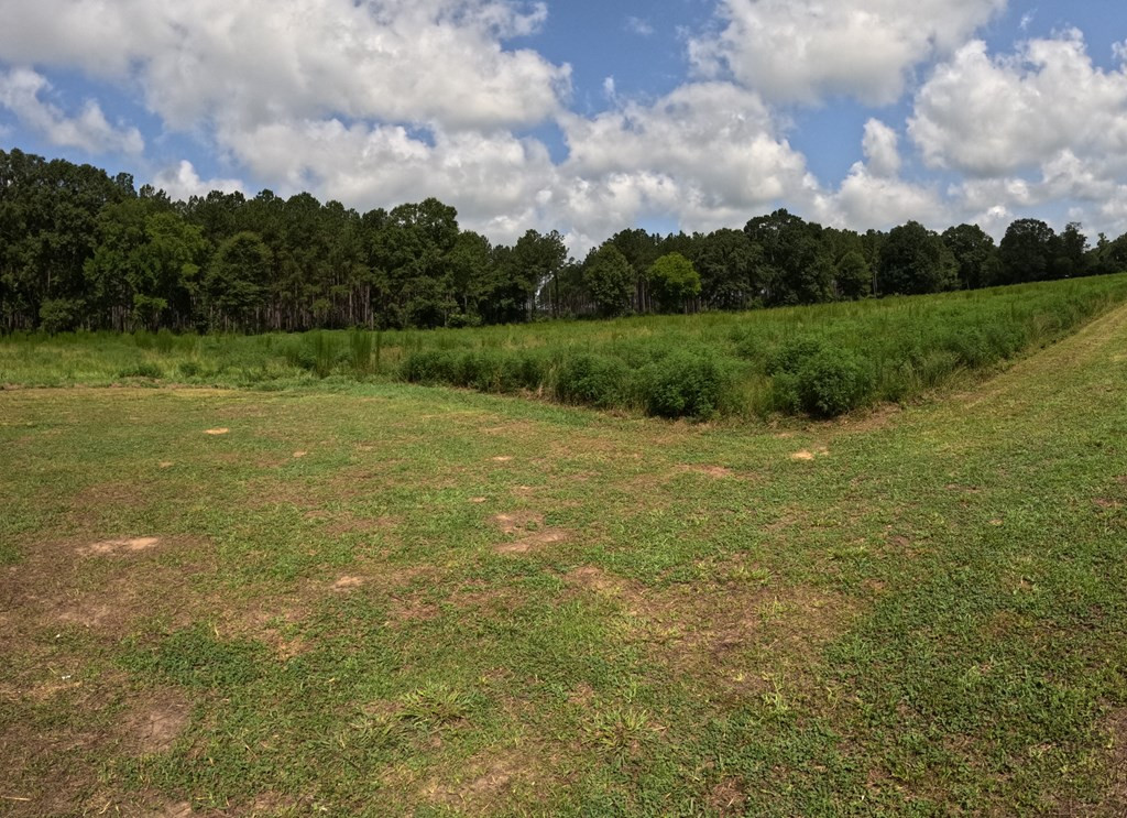 1608 Highway 586 Property Photo 29