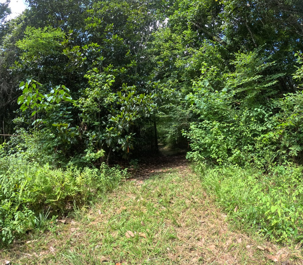 1608 Highway 586 Property Photo 34
