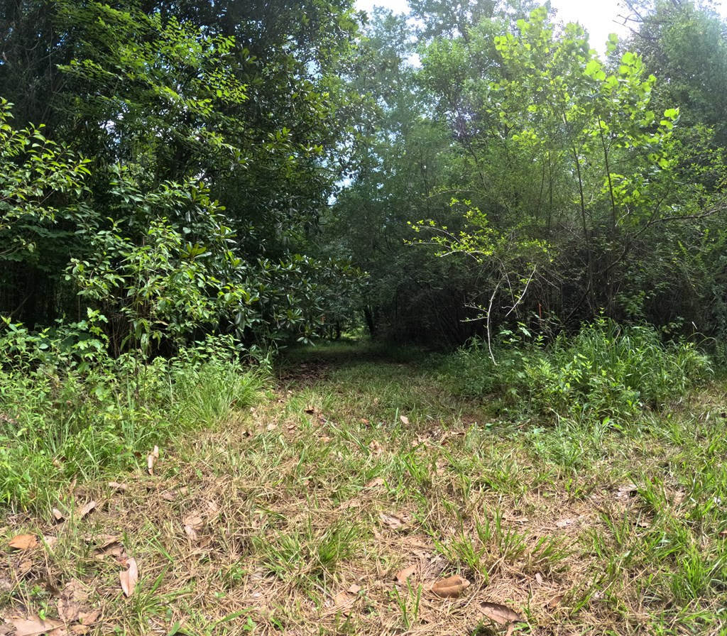 1608 Highway 586 Property Photo 35