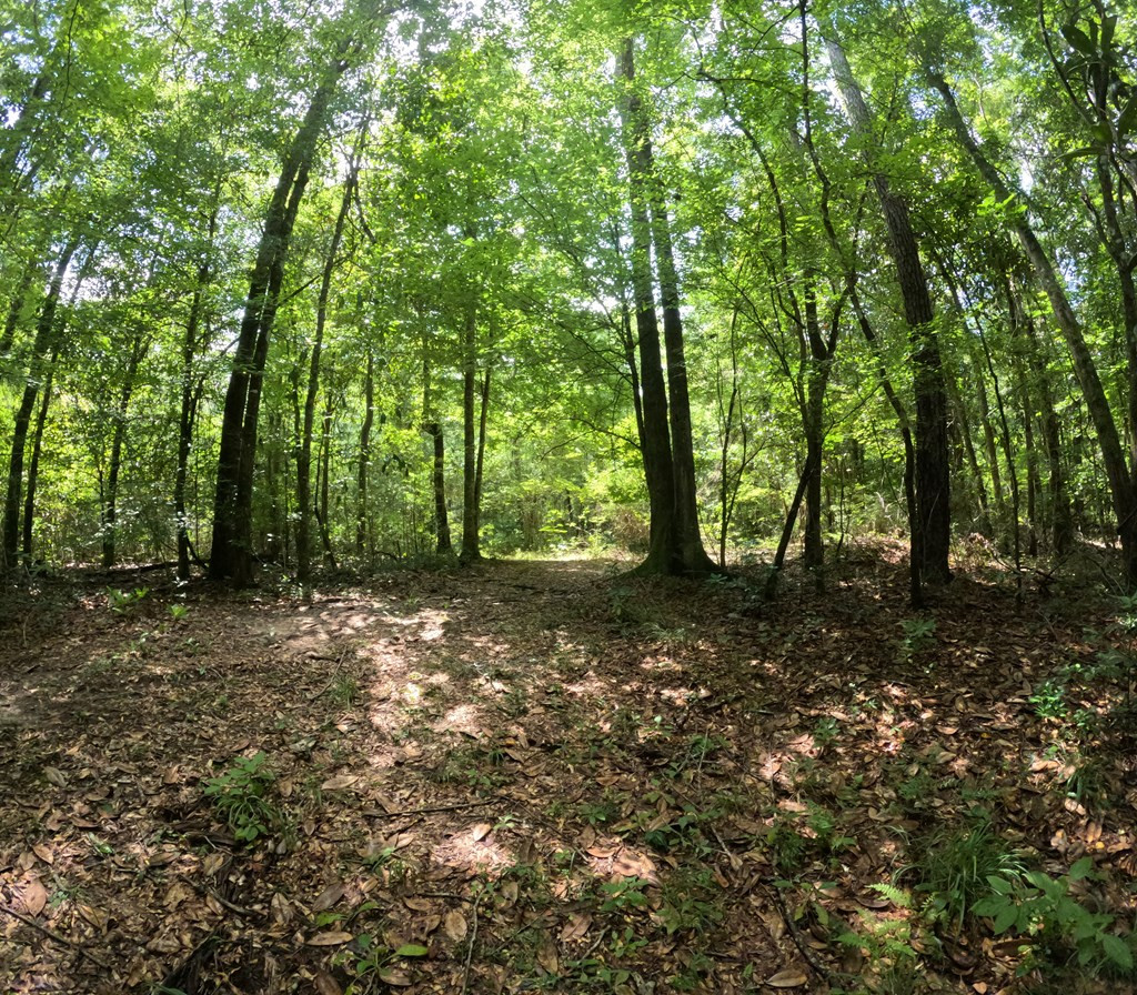 1608 Highway 586 Property Photo 37