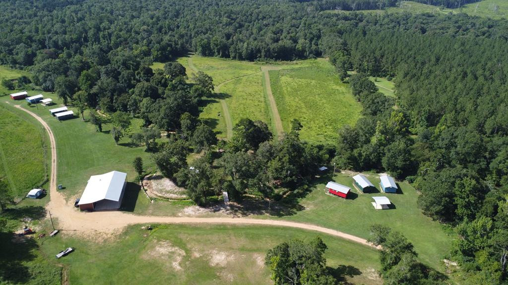 1608 Highway 586 Property Photo 51
