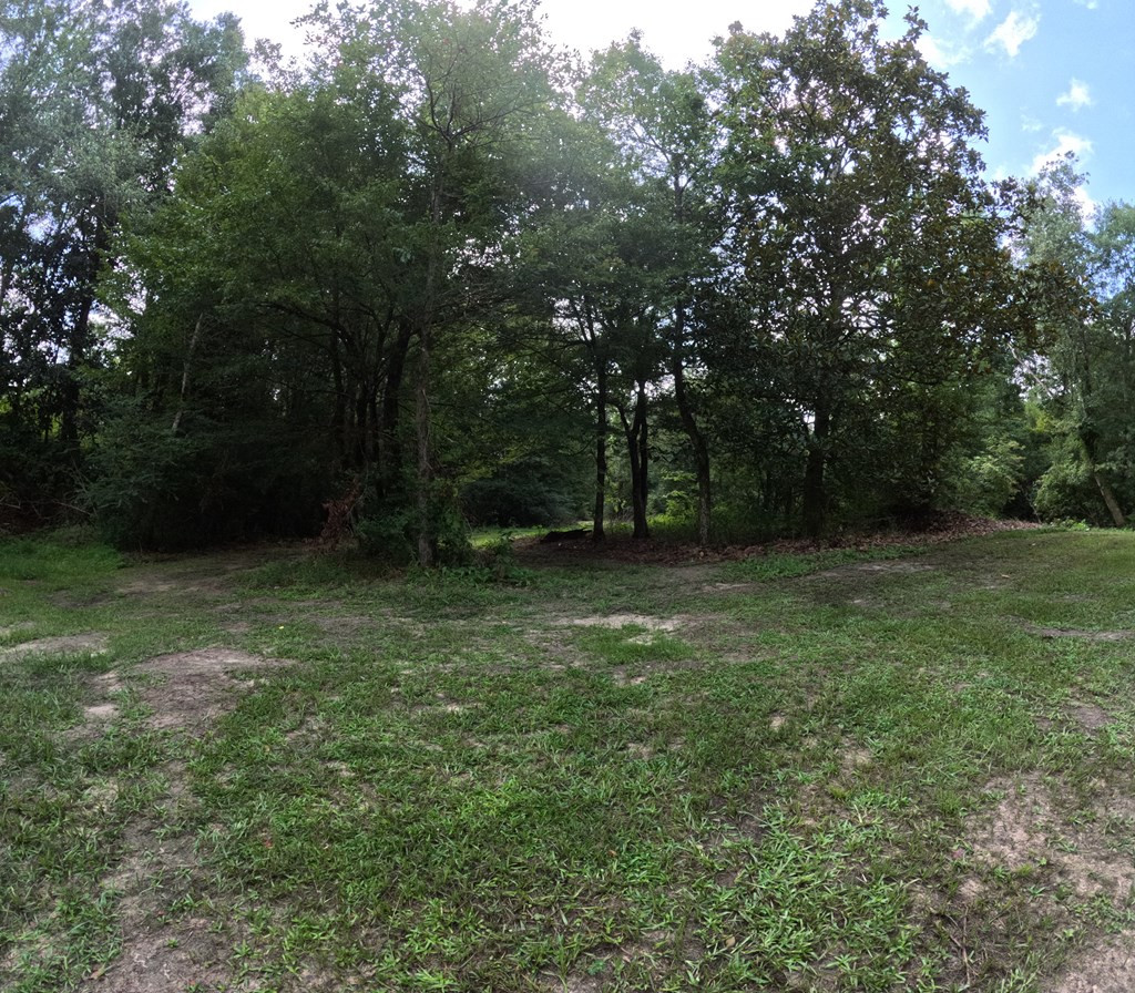 1608 Highway 586 Property Photo 28
