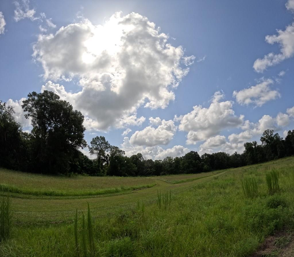 1608 Highway 586 Property Photo 30