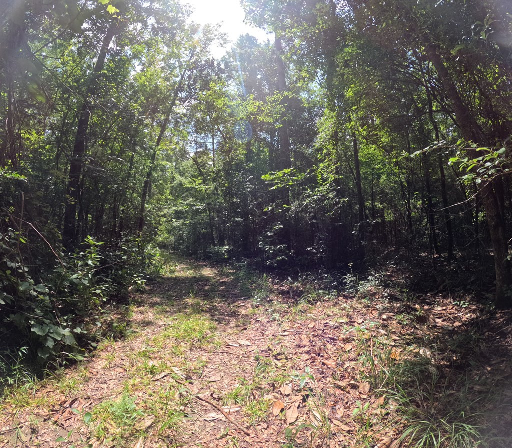 1608 Highway 586 Property Photo 32