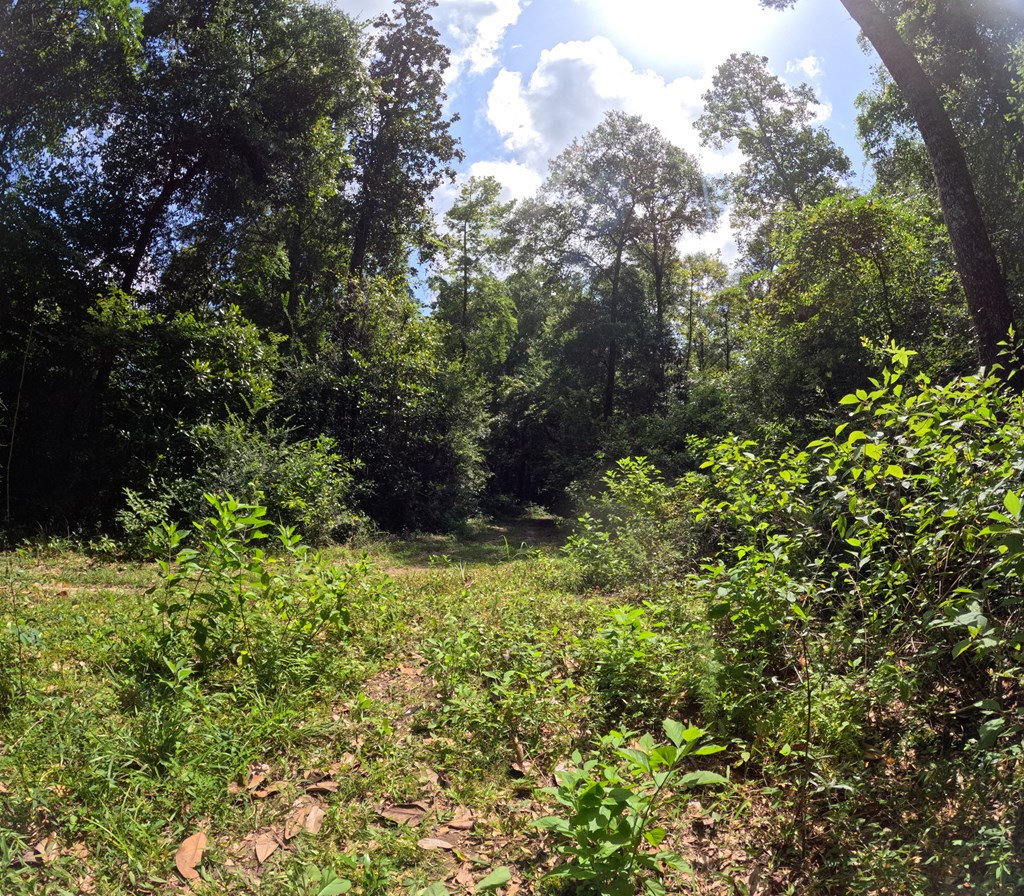 1608 Highway 586 Property Photo 40