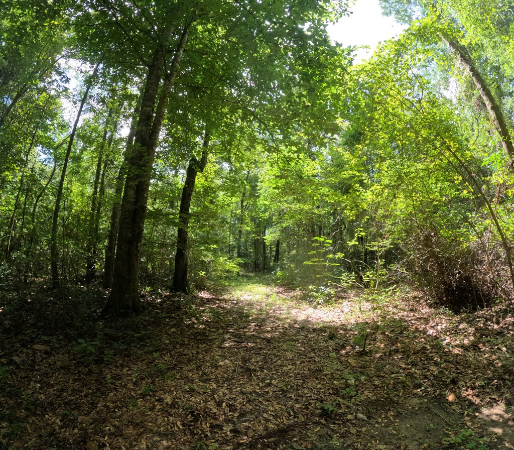 1608 Highway 586 Property Photo 41