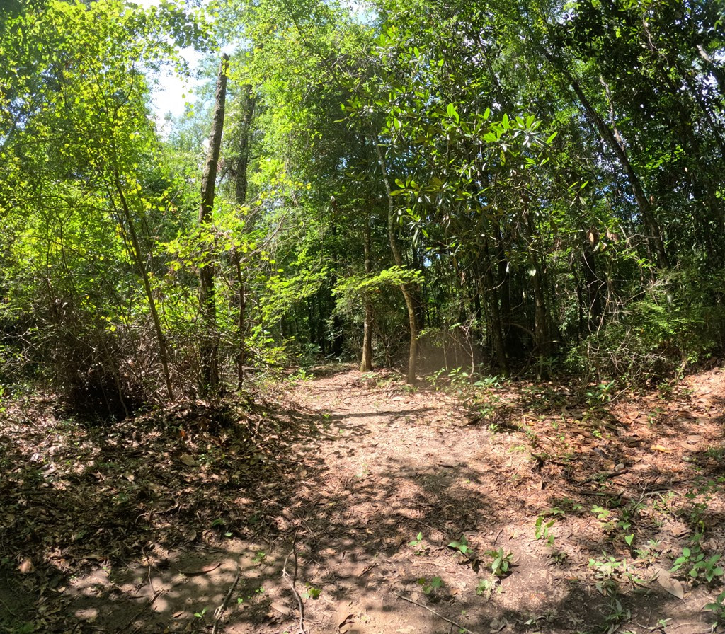 1608 Highway 586 Property Photo 42