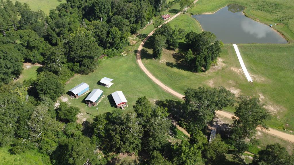 1608 Highway 586 Property Photo 51