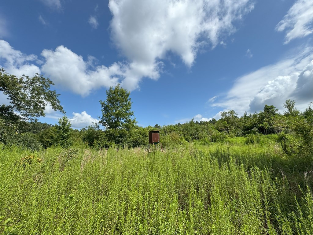 0 Off Hutson Morris Road Property Photo 3