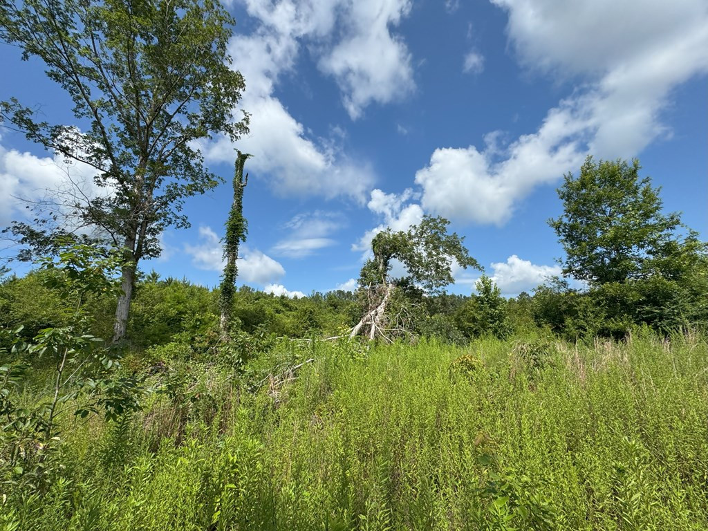 0 Off Hutson Morris Road Property Photo 8