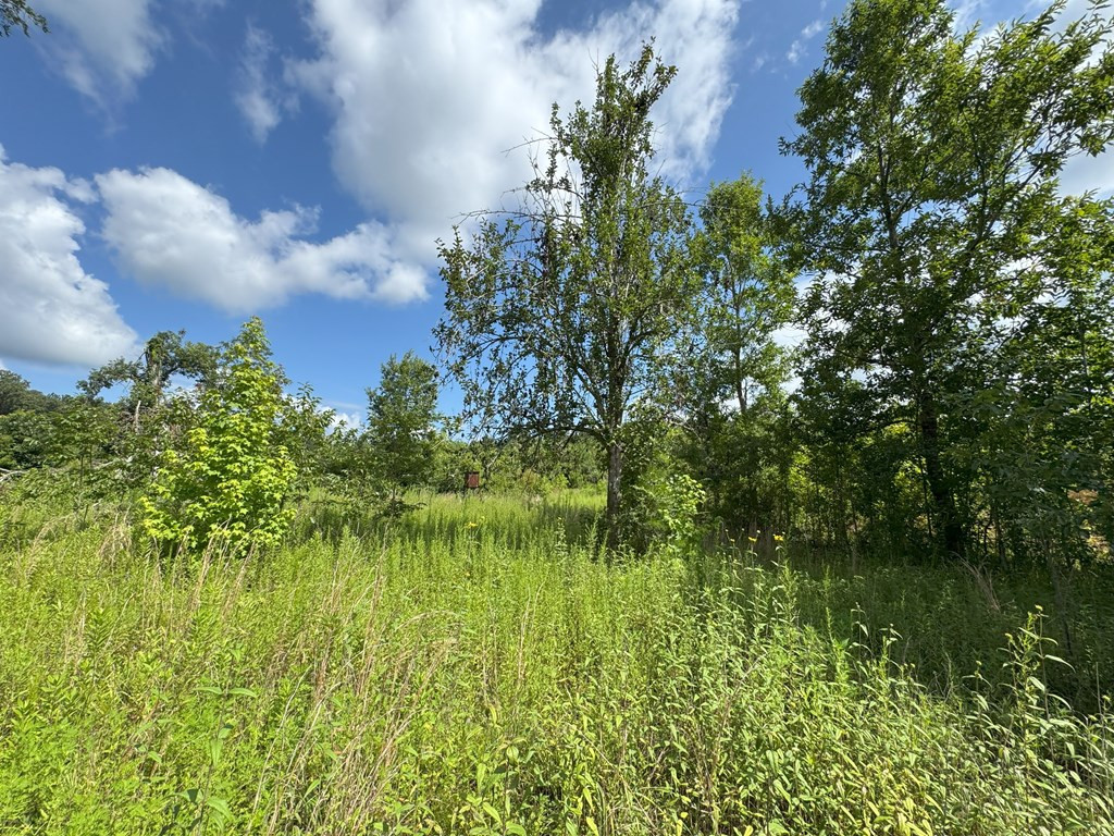 0 Off Hutson Morris Road Property Photo 10