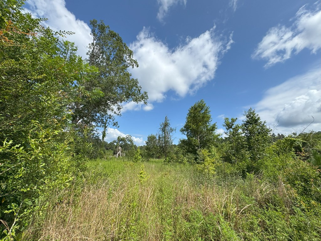 0 Off Hutson Morris Road Property Photo 12