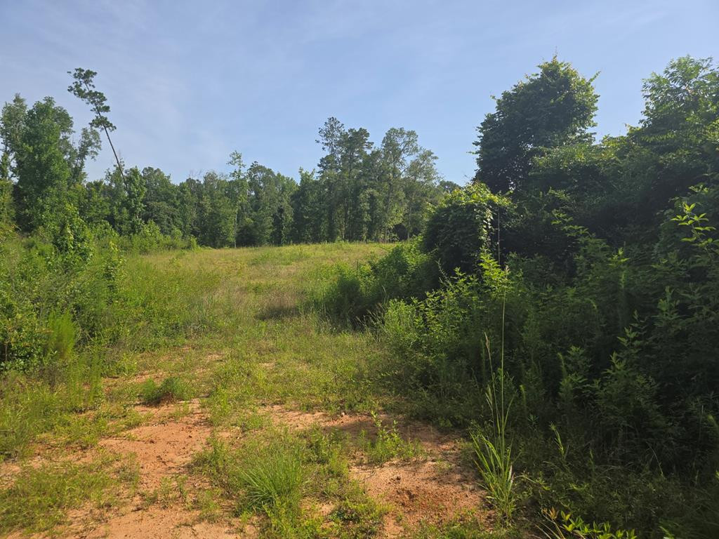 000 Browder Lane Property Photo 1