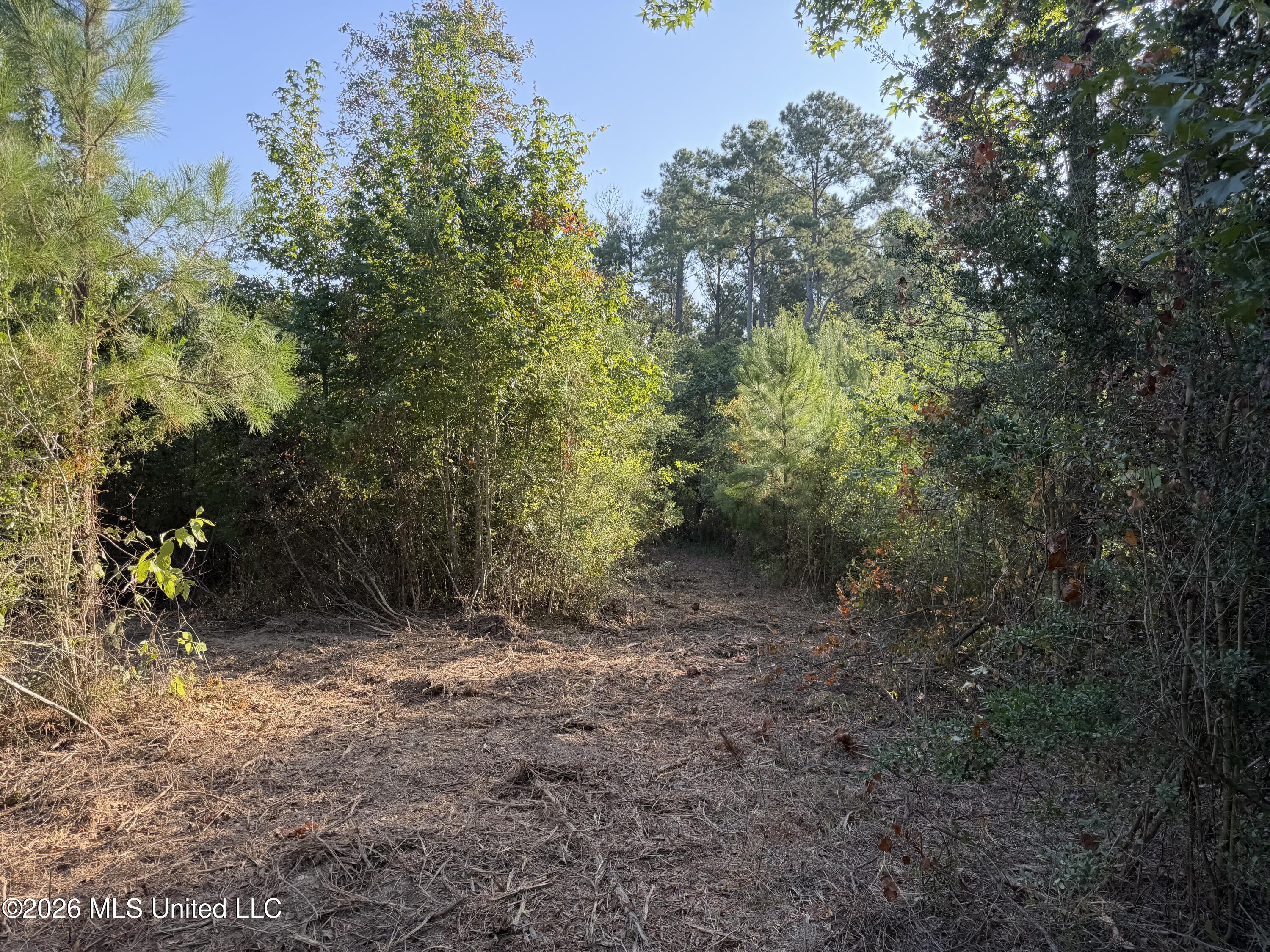 Tbd Hwy 570 Property Photo 2