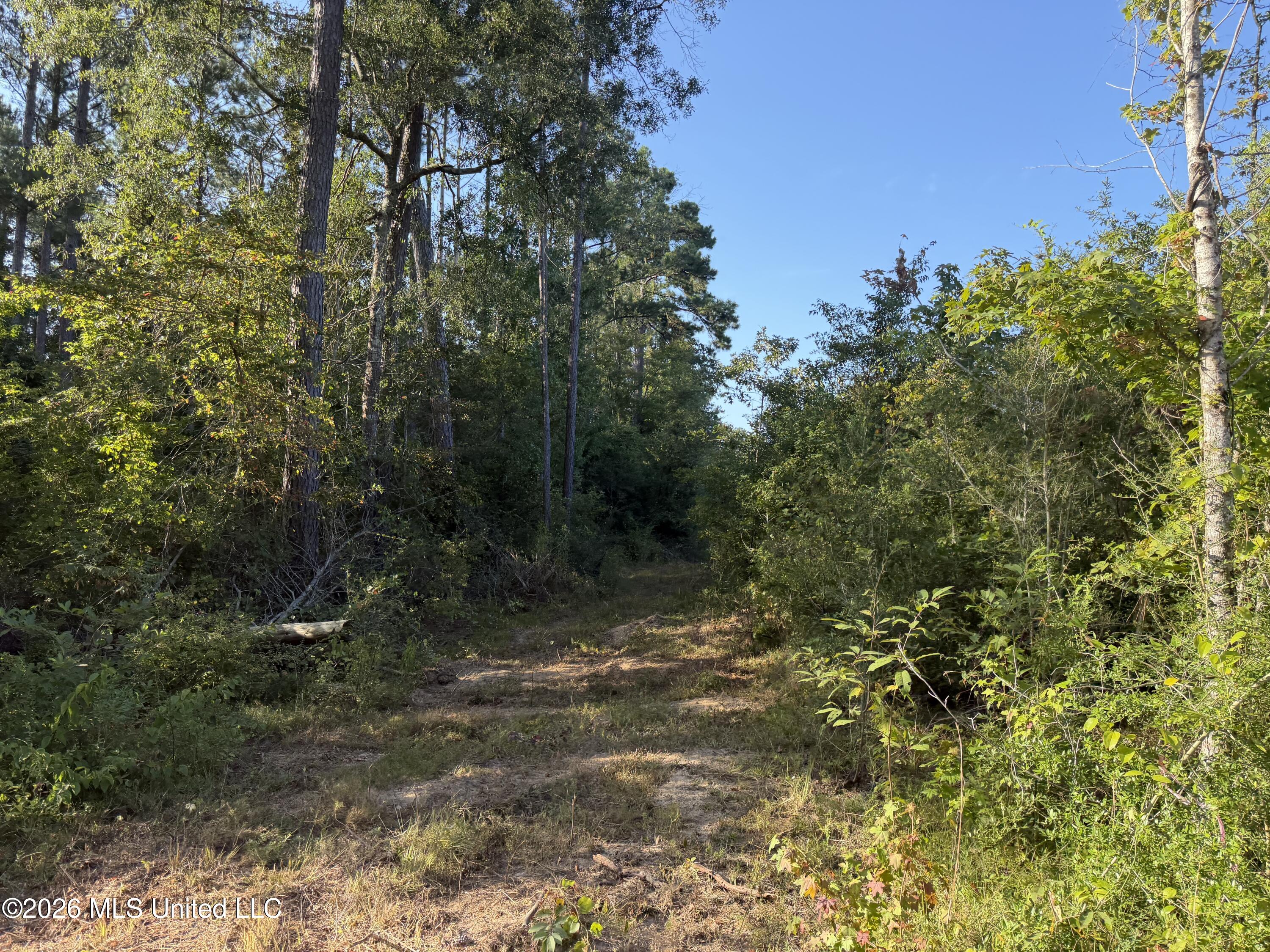 Tbd Hwy 570 Property Photo 3