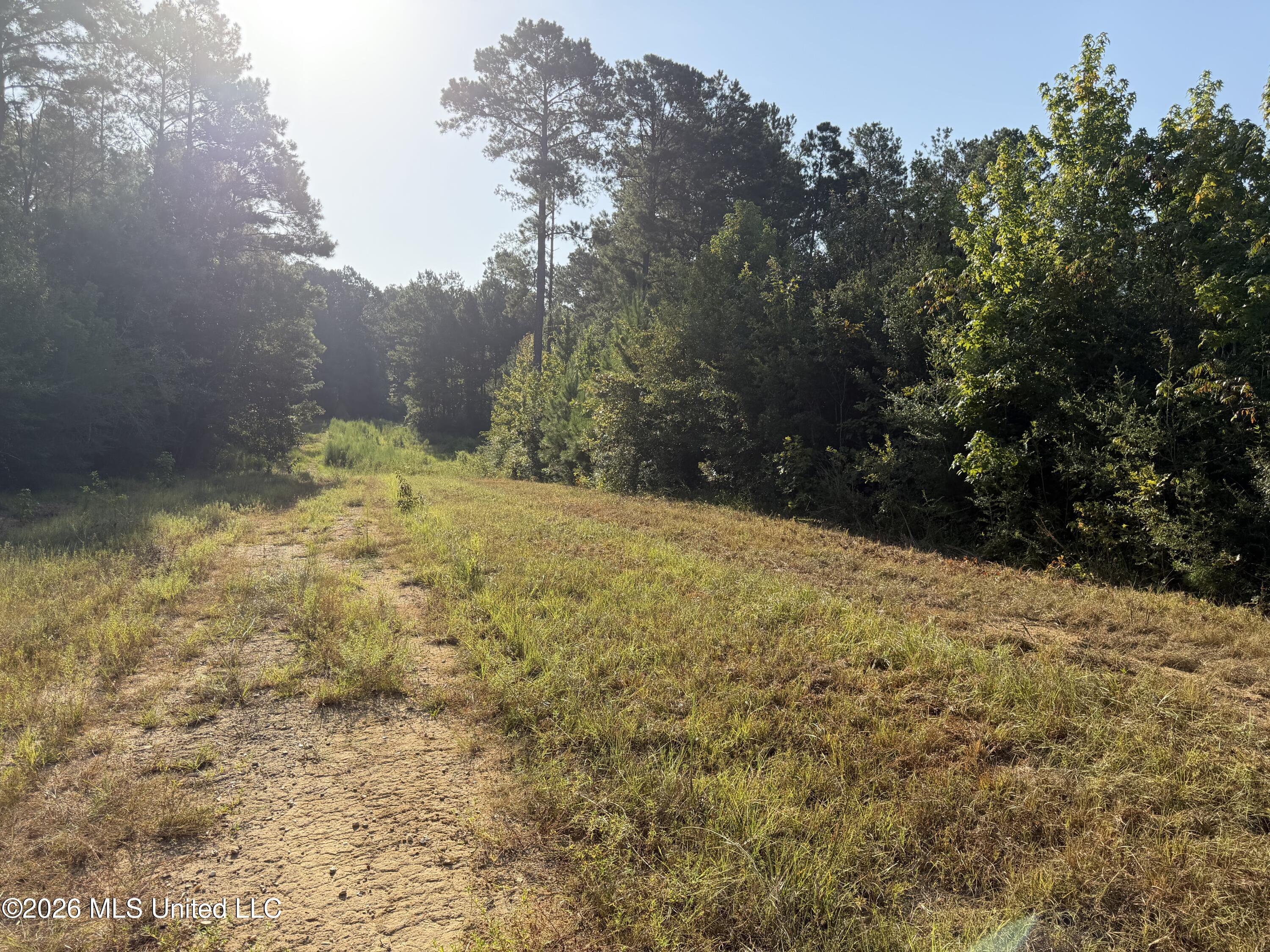 Tbd Hwy 570 Property Photo 5