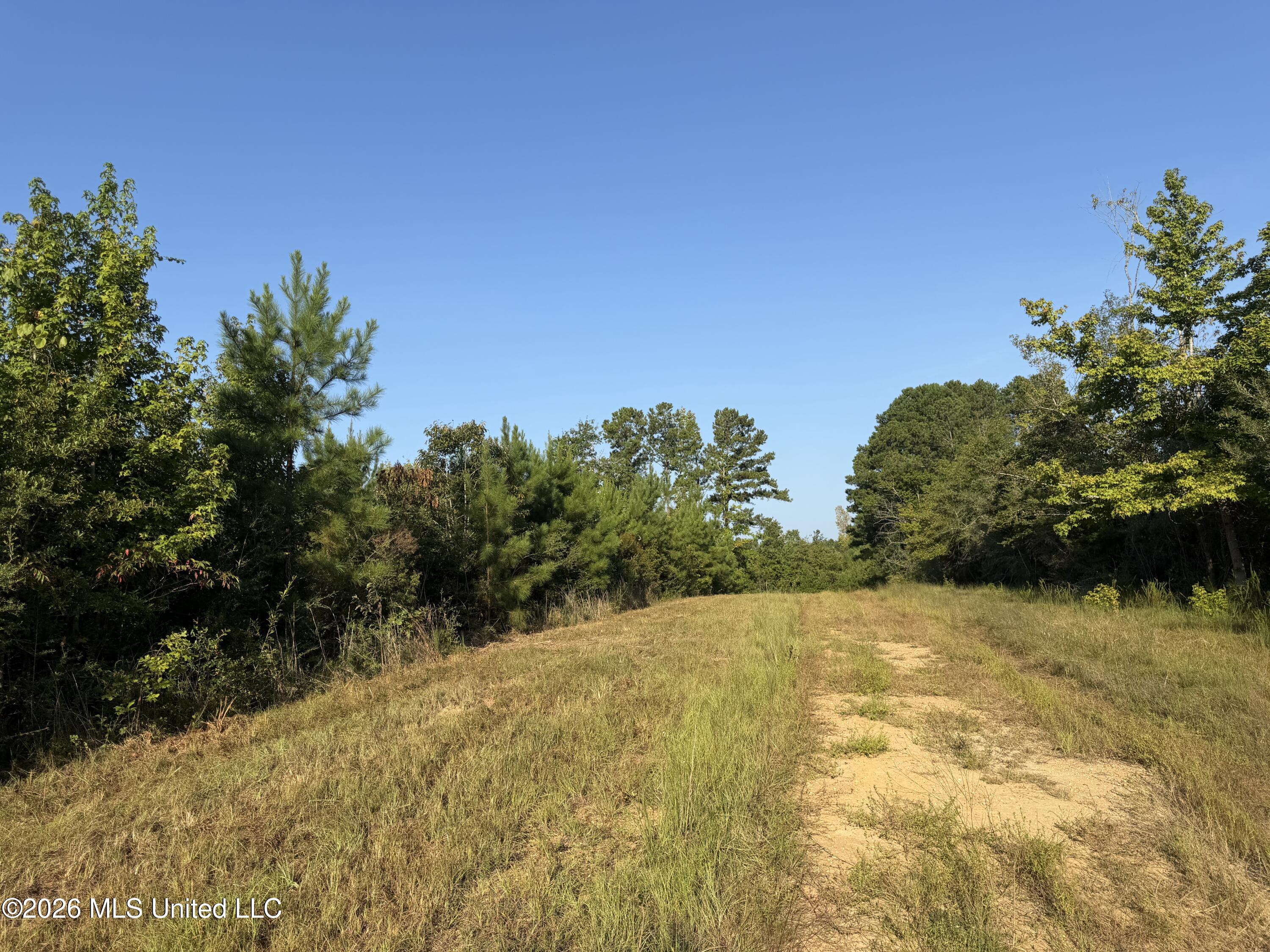 Tbd Hwy 570 Property Photo 7