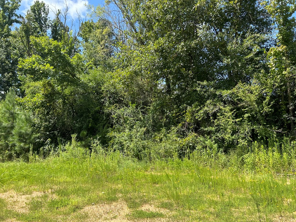 Tbd Hwy 570 Property Photo 12