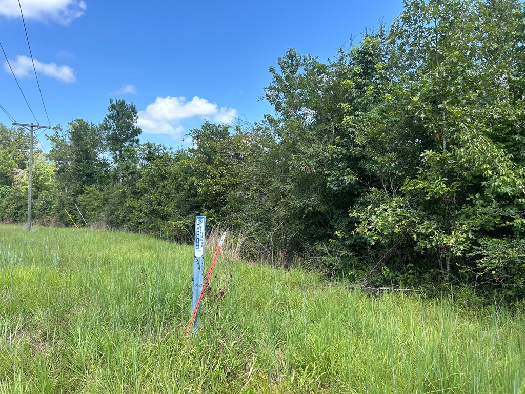 Tbd Hwy 570 Property Photo 14