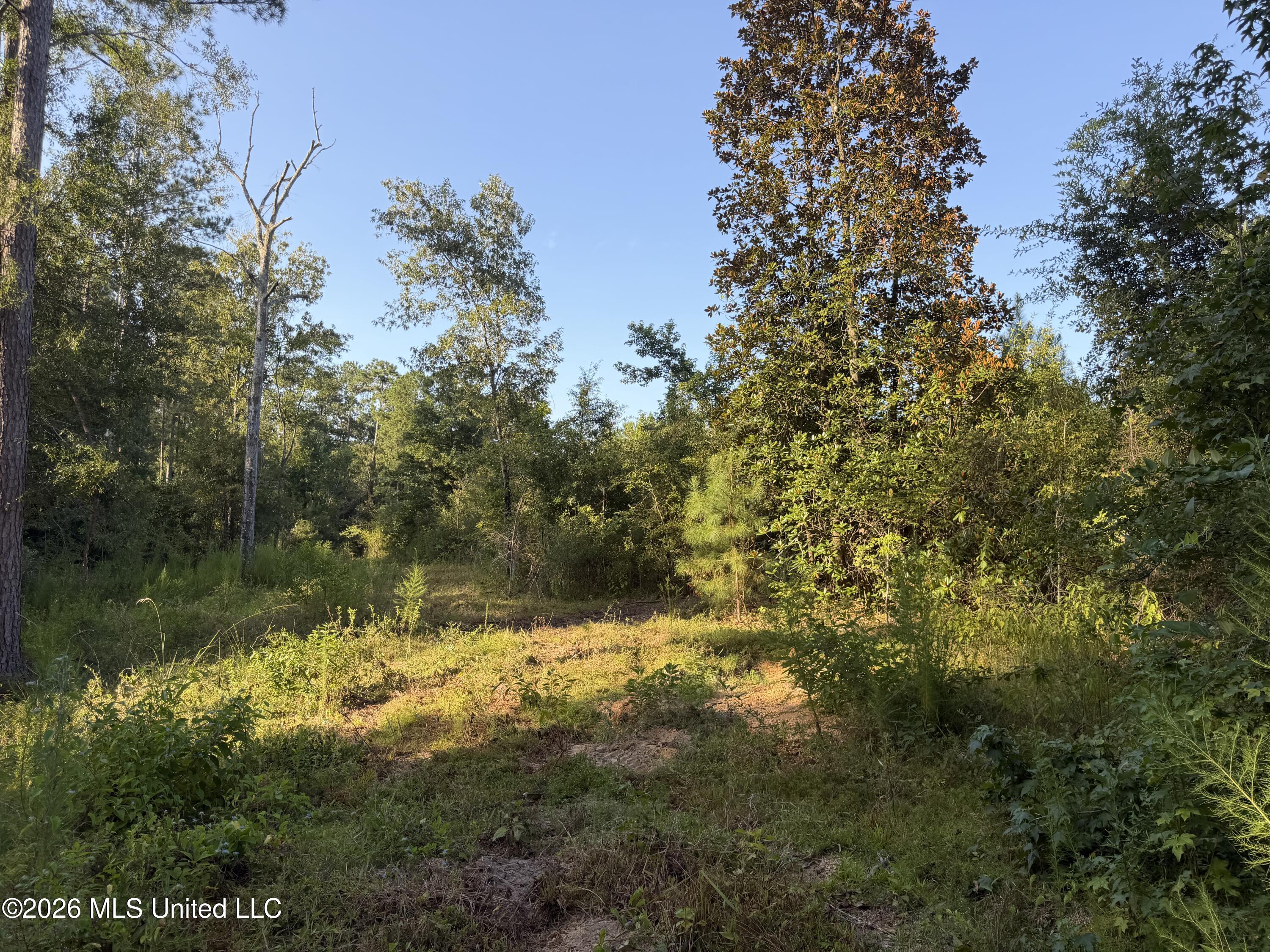 Tbd Hwy 570 Property Photo 16