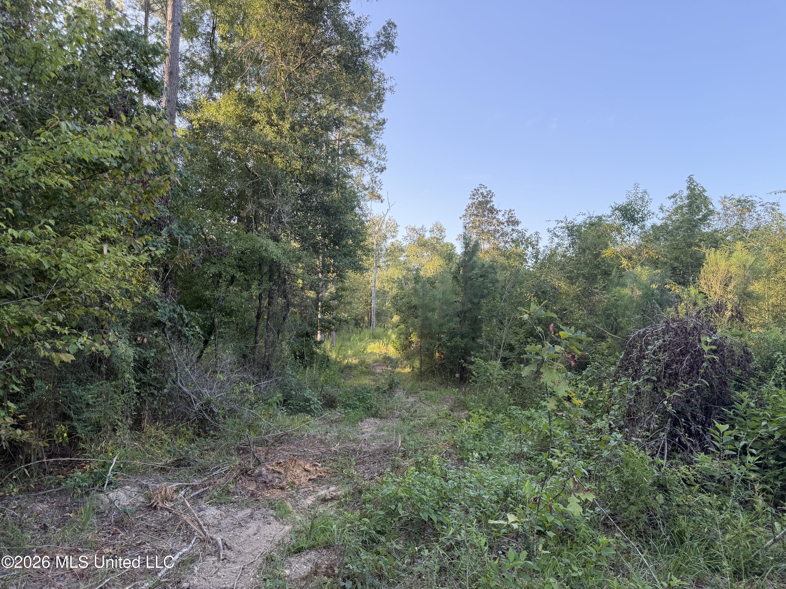 Tbd Hwy 570 Property Photo 17
