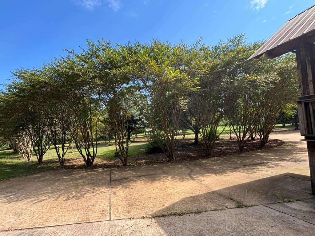 83 Jayess Road Property Photo 38