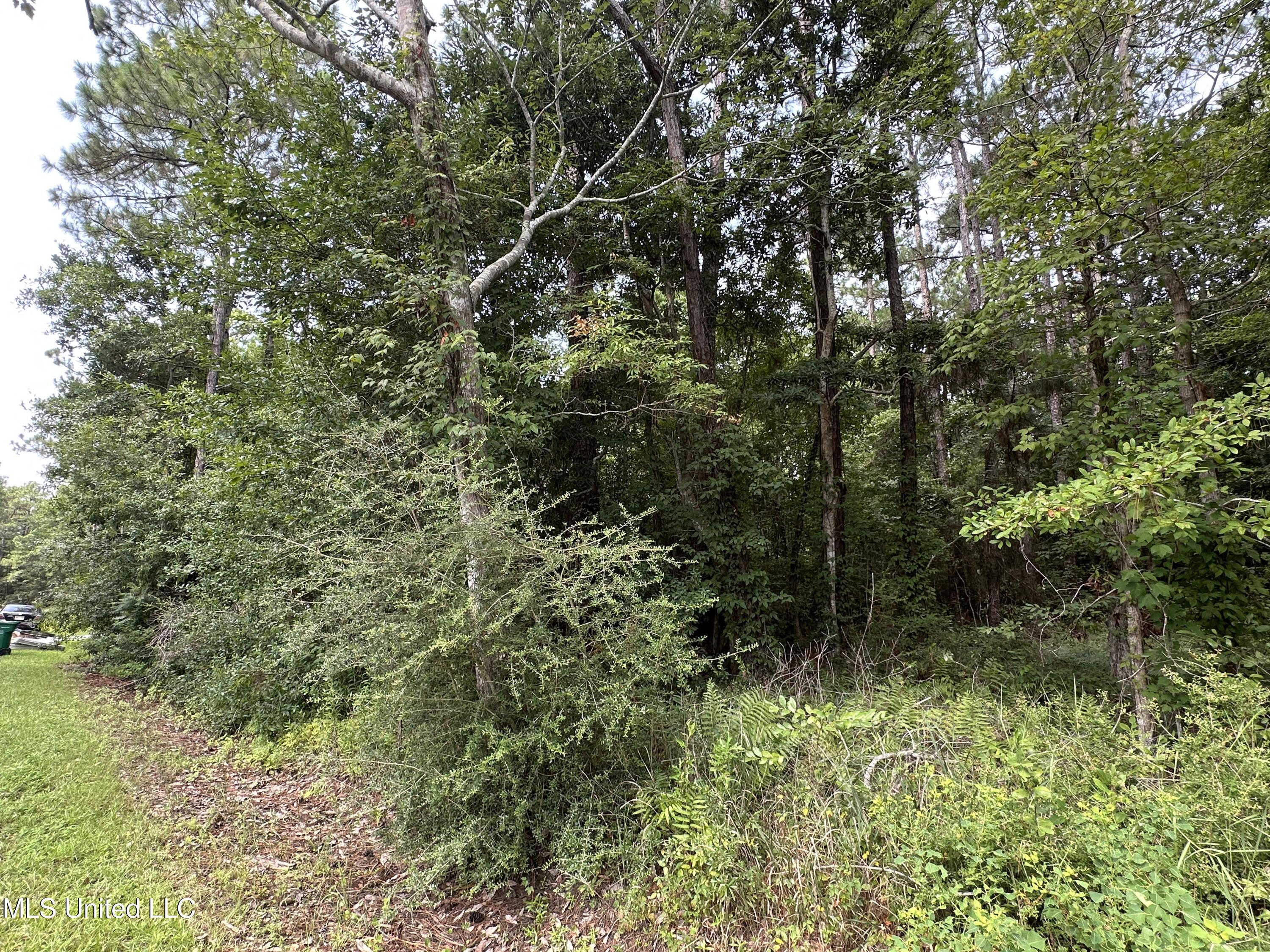 Elizabeth Property Photo 3