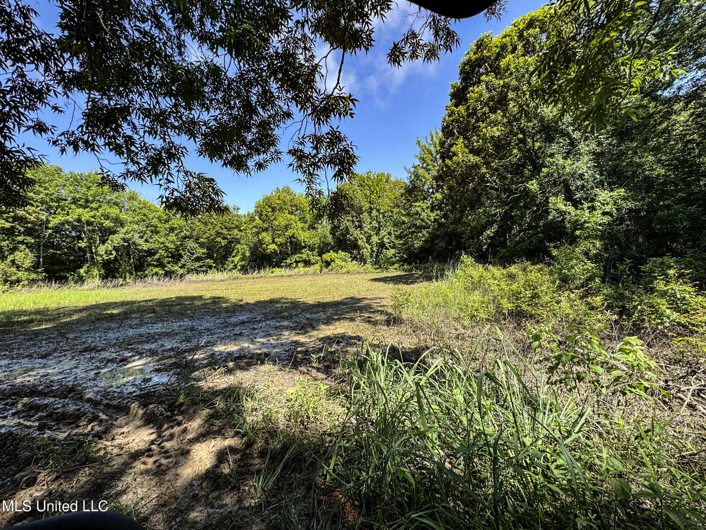 278 Property Photo 88