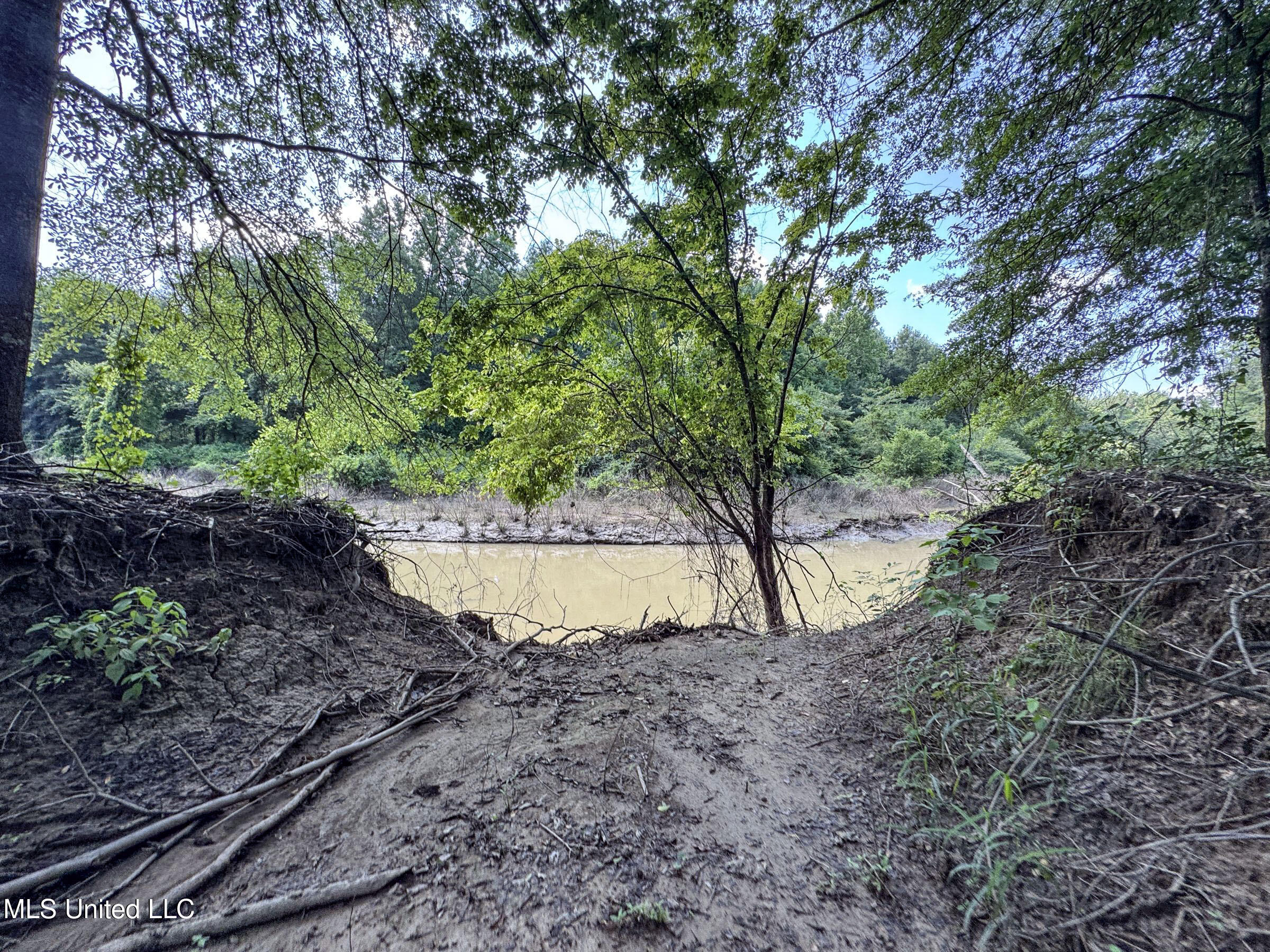 278 Property Photo 101