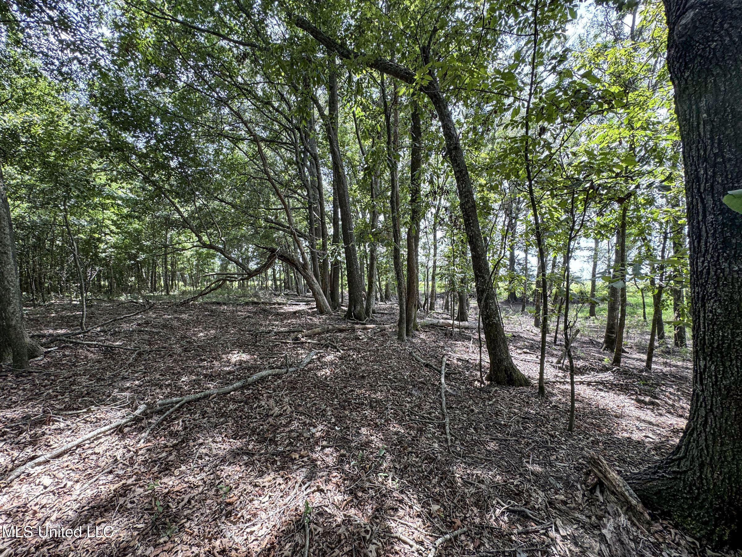 278 Property Photo 109