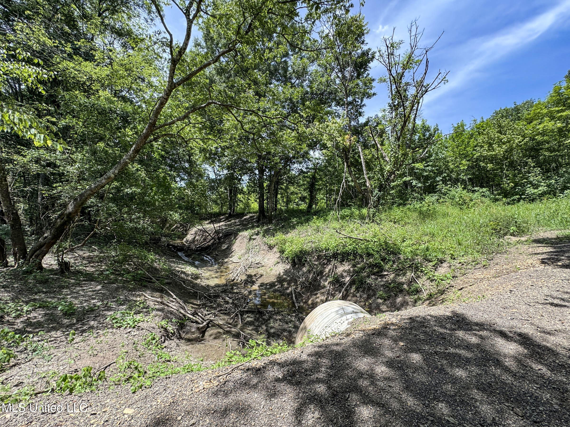 278 Property Photo 111