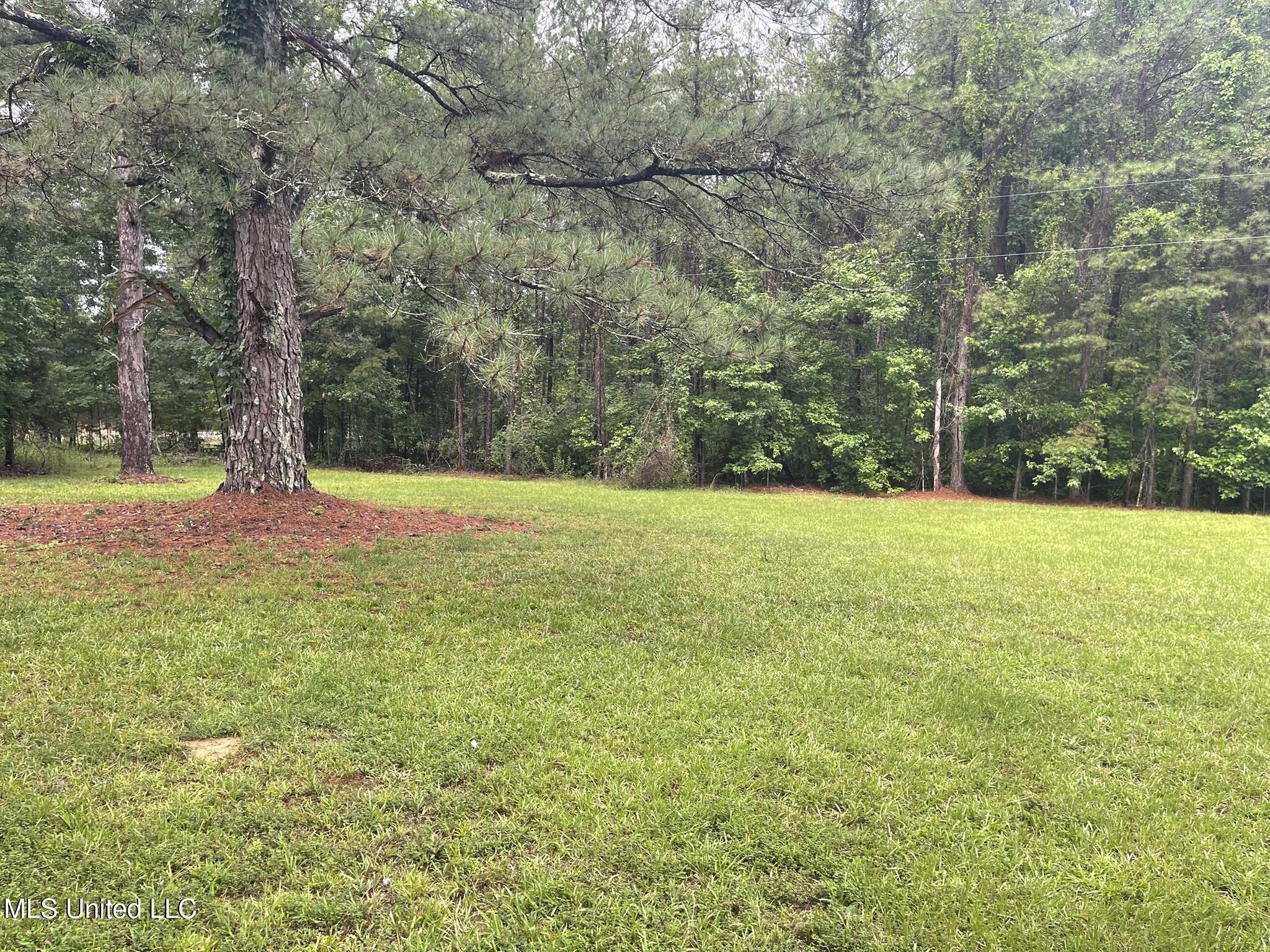 2450 Ms-17 Property Photo 1
