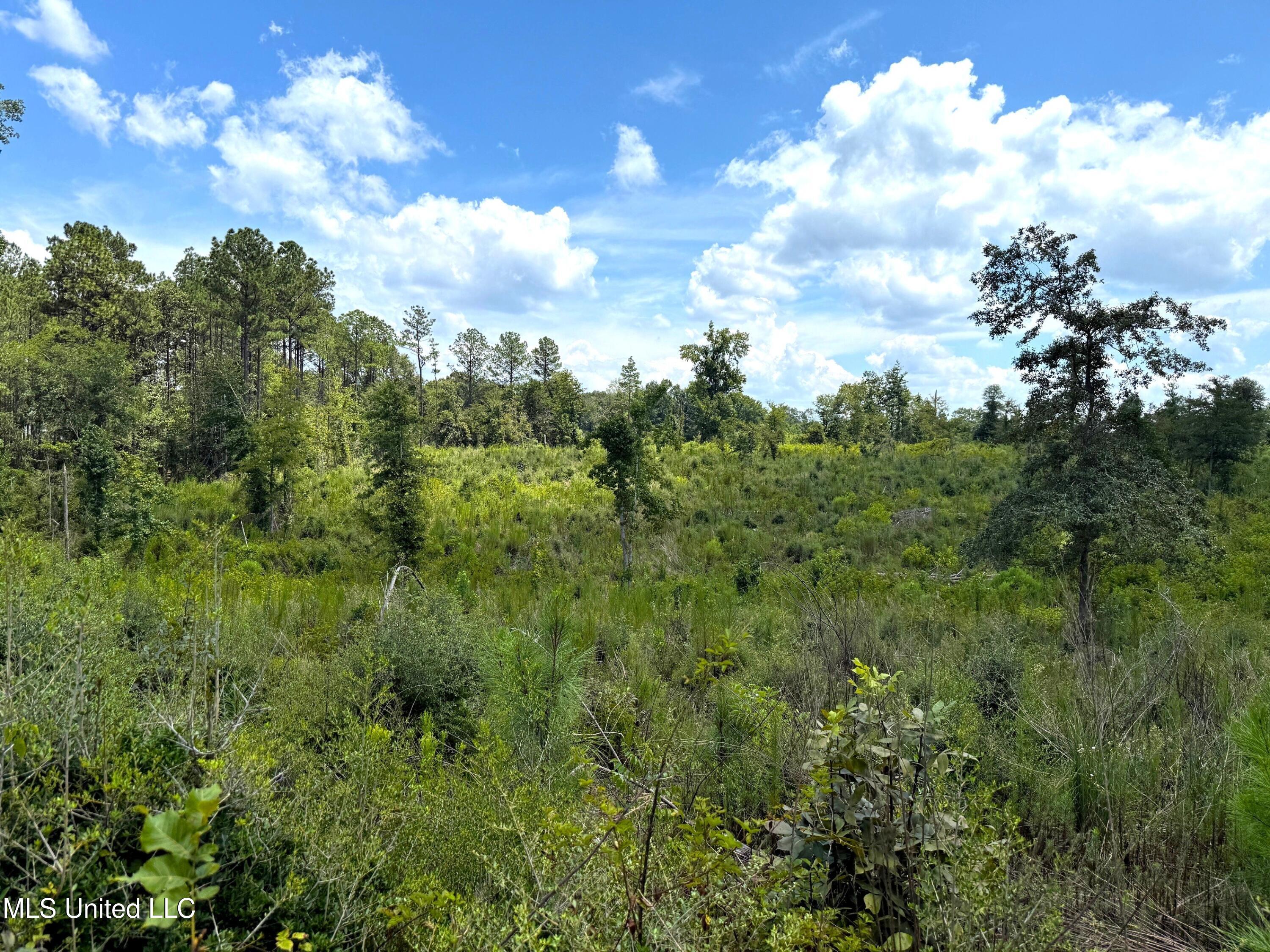 Cd Rayborn Rd Road Property Photo 2